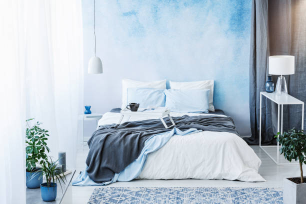 istock Grey blanket on bed in blue bedroom interior with plants and white lamp on table 1002181350