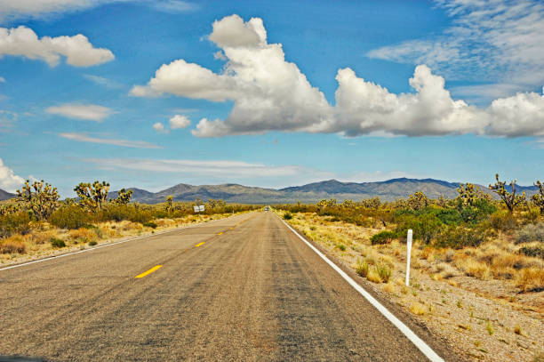 istock Road to Nipton California 1002190636