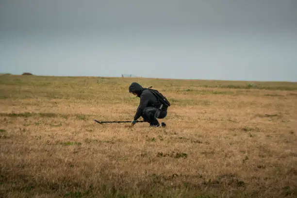 Photo of Metal Detecting in an Open Field