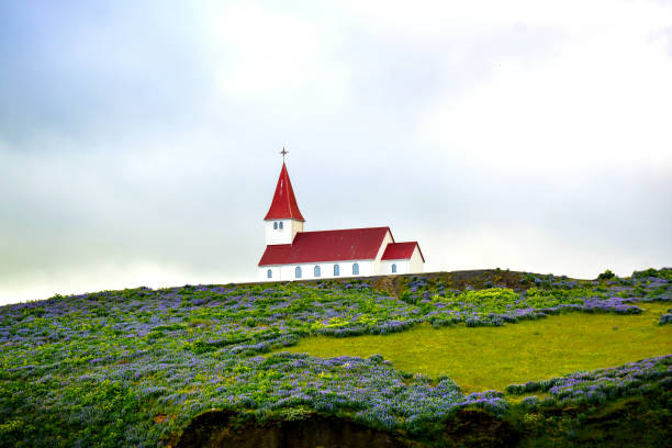 istock A red roofed church in Iceland with Lupins 1002201034