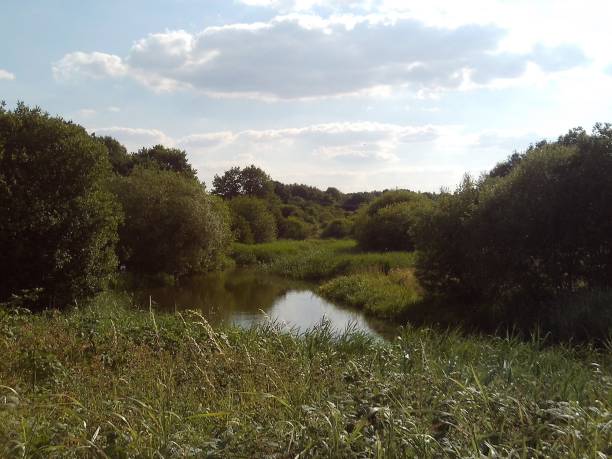 istock Whittleford Park, Nuneaton, England, In Summer, 2018. 1002201476