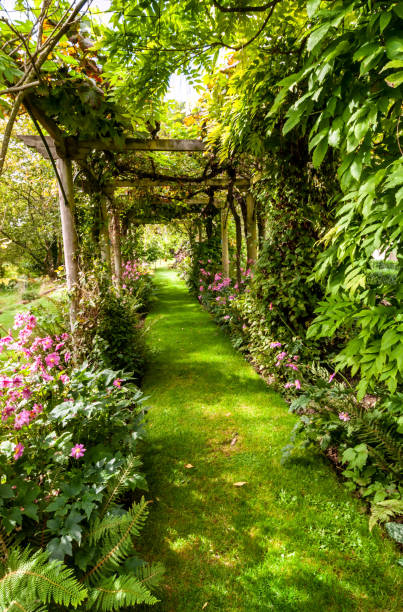 istock A  grassed path under a vine-covered pergola-archway makes a verdant mysterious shady avenue. Flower beds and ferns adorn the sides. 1002201566