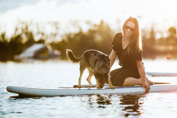 Woman On Paddleboard With Pet Dog A woman on a SUP, or Standup Paddle Board, on a beautiful sun lit lake, taking in natures beauty.  Horizontal image with copy space.  Shot in Austin, Texas. paddleboard photos stock pictures, royalty-free photos & images