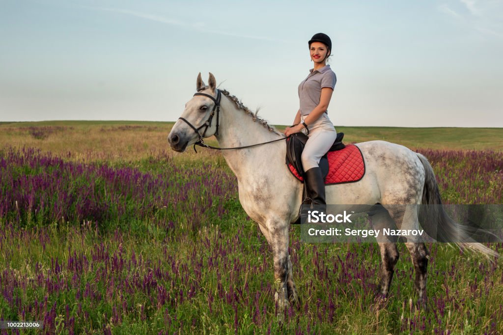 Amazona jinete en uniforme de montar a caballo al aire libre - Foto de stock de Equitación libre de derechos