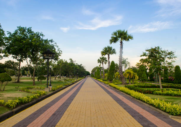 istock View Of Footpath Amidst Trees Against Sky 1002215270