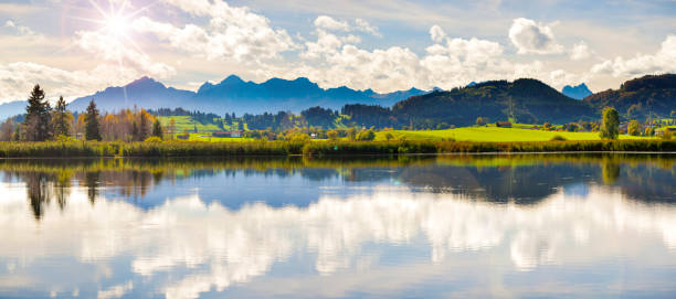 Panoramic scene in Bavaria with alps mountains mirroring in lake Panoramic scene in Bavaria with alps mountains mirroring in lake forggensee lake photos stock pictures, royalty-free photos & images