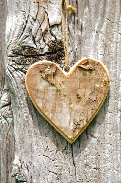 istock wooden heart hanging on tree bark as symbol for love 1002228078