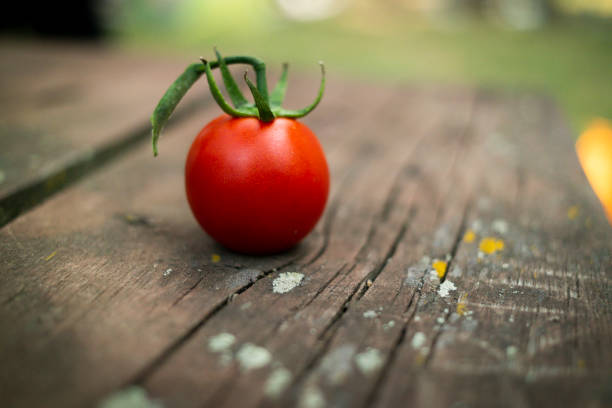 istock free space on table and red vegetables of tomato 1002244658