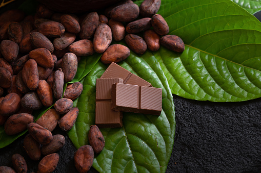 Chocolate bar and cocoa beans on a dark background.