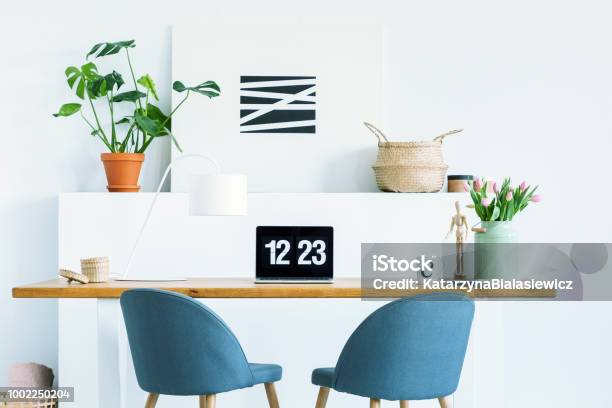Blue Chairs At Wooden Desk With Laptop In White Work Area With Plant And Poster Real Photo Stock Photo - Download Image Now