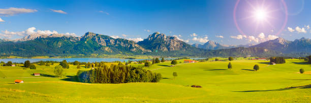 panoramic scene with lake Forggensee and mountain range in region Allgäu in Bavaria panoramic scene with lake Forggensee and mountain range in region Allgäu in Bavaria allgau stock pictures, royalty-free photos & images