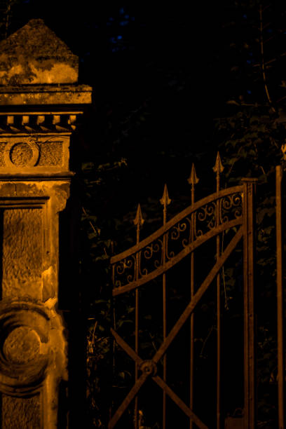istock Iron Door Entrance Rusty Old 1002258970