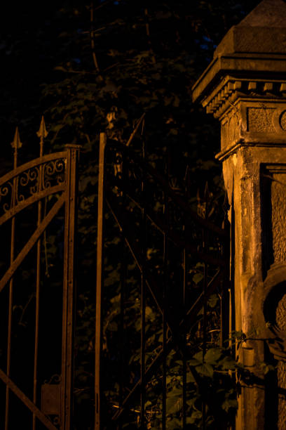 istock Iron Door Entrance Rusty Old 1002259484