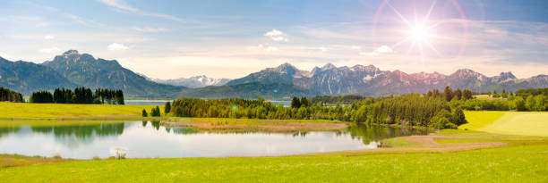 istock Panoramic scene in Bavaria with alps mountains mirroring in lake Forggensee 1002259594