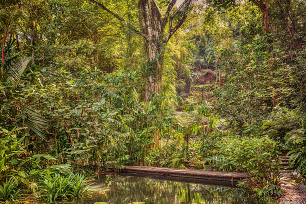 Tropical spice garden in Penang Malaysia