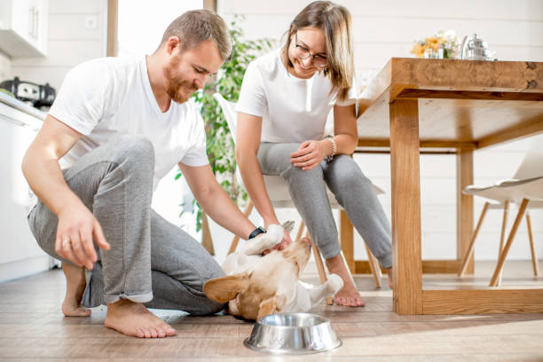 istock Young couple with dog at home 1002271036