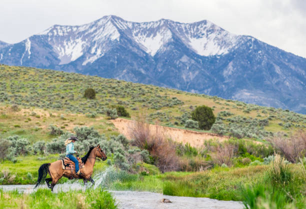 istock Pure horseback riding - crossing a remote stream 1002271040