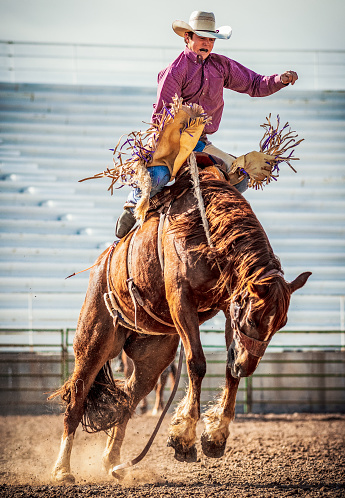 A young man struggling to stay on a bucking bronco horse at a rodeo event.