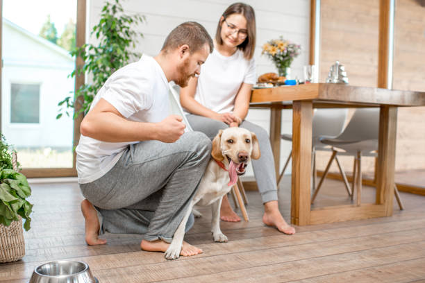 istock Young couple with dog at home 1002271240