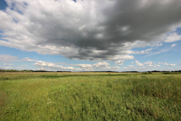 istock summer landscape with clouds over the road in the field 1002271384