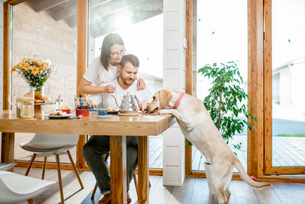 istock Couple having a breakfast with dog at home 1002272068