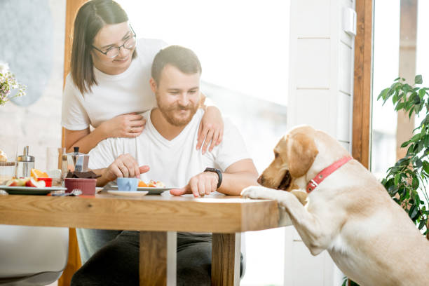 istock Couple having a breakfast with dog at home 1002272360