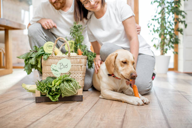 自宅で犬と菜食主義者のカップル - dog vegetable carrot eating ストックフォトと画像