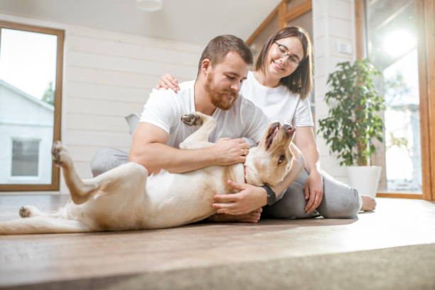 istock Couple with dog in the house 1002275696