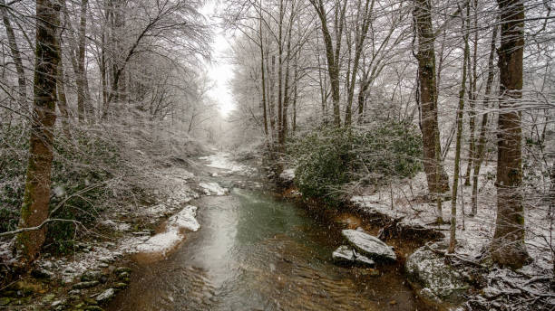 north carolina schnee auf dem watauga river in der nähe von boone - winter stream river snowing stock-fotos und bilder