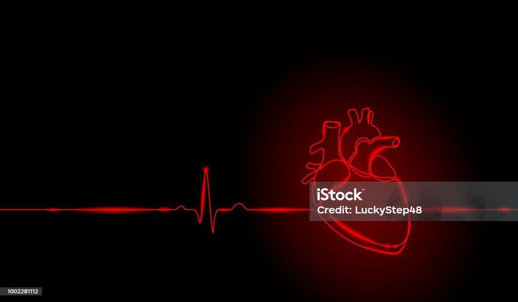 Single continuous line art anatomical human heart silhouette. Healthy medicine concept design neon glow red one sketch outline drawing vector illustration Single continuous line art anatomical human heart silhouette. Healthy medicine concept design one neon glow red sketch outline drawing vector illustration art Heart - Internal Organ stock vector