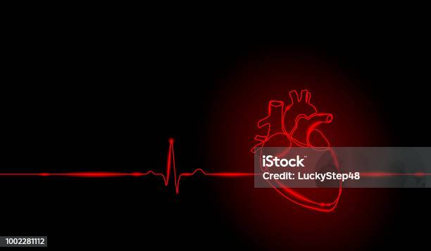 Single Continuous Line Art Anatomical Human Heart Silhouette Healthy Medicine Concept Design Neon Glow Red One Sketch Outline Drawing Vector Illustration Stock Illustration - Download Image Now