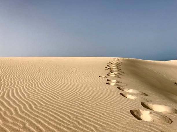 istock Scenic view of the desert in Corralejo 1002284332