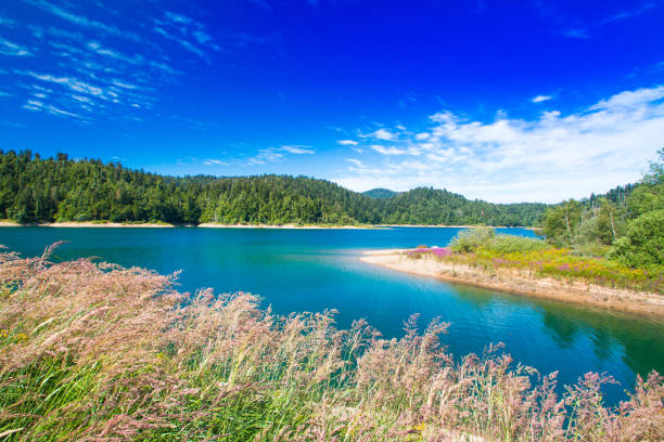 istock Lokve, Gorski kotar, Croatia 1002285446