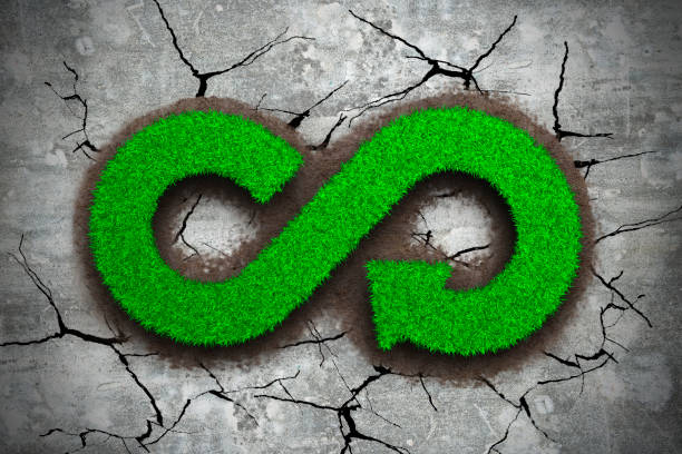 istock Green grass of arrow infinity recycling symbol 1002290116