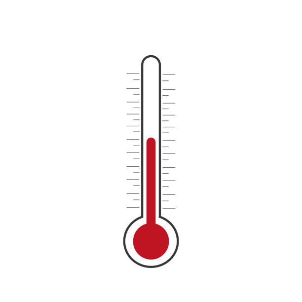 Thermometer. Vector