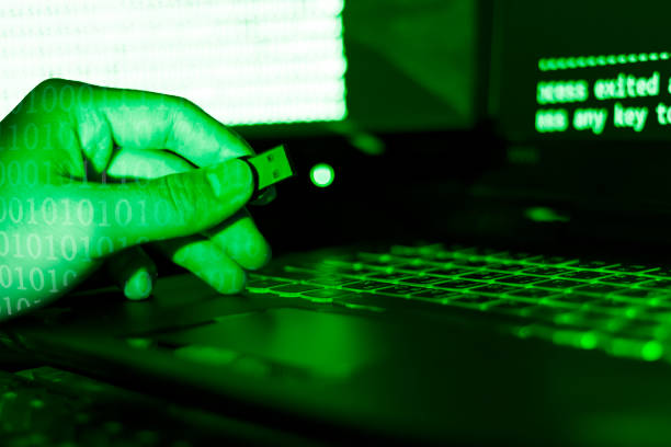 Computer programmers or hackers use usb to get information from their laptops to hack the corporate secret. stock photo