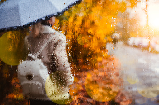 Silhouette of girl wear aviator jacket with umbrella standing behind the window covered with rain drops in golden autumn season. Backlit sunset sun beam flares after wet rainy weather.