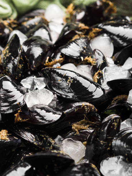 istock Fresh raw mussels on rusty tray 1002300690