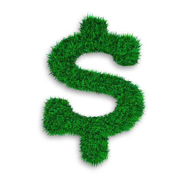 istock Green grass in dollar sign shape, 3D illustration 1002303314