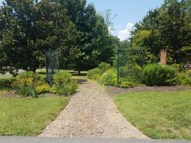 istock mulch trail or path and green plants and metal gate 1002303438
