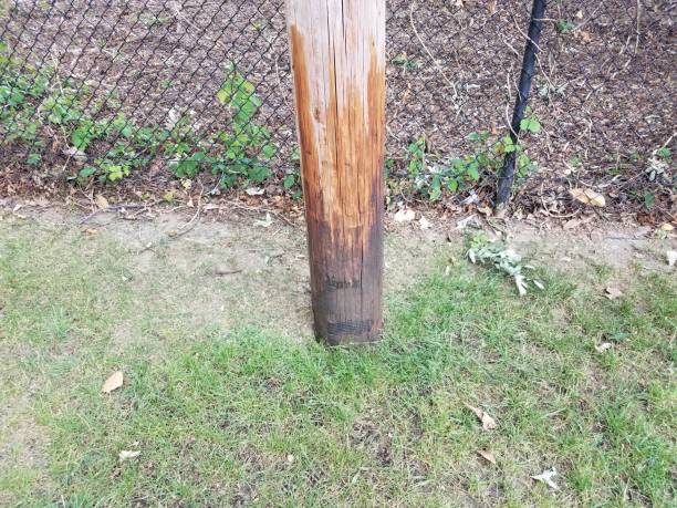 istock wood post in green grass with tar on it 1002303698