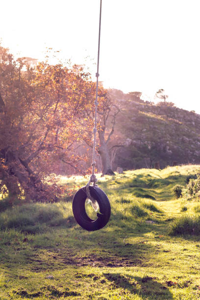 istock View of a mountainous country side with a old tyre swing hanging from a tree,  surrounded with trees and dry grass, Cape Town, South Africa. 1002304152