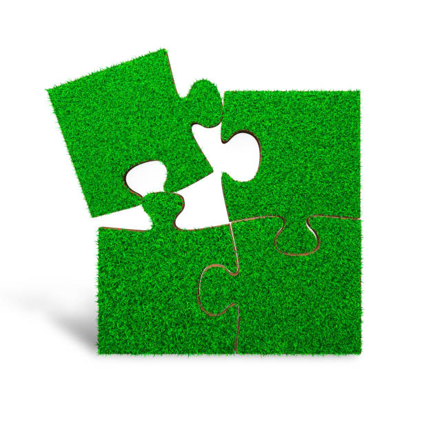 istock Four jigsaw puzzles with green grass, 3D illustration 1002307346