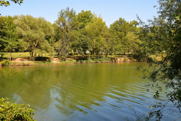 istock River Bank in the evening sun 1002316312