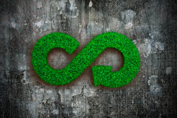 istock ECO and circular economy concept. 1002317208