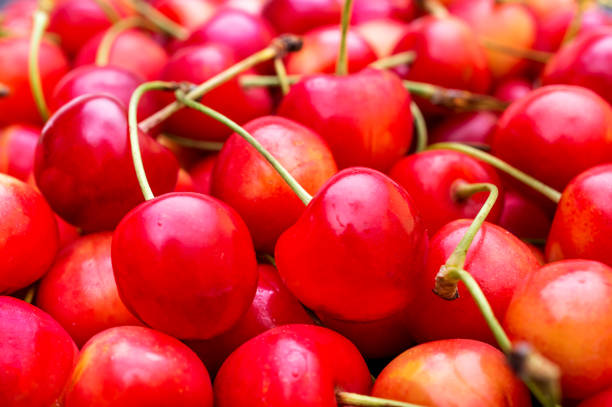 istock Cherries as food background. Close up. 1002325030