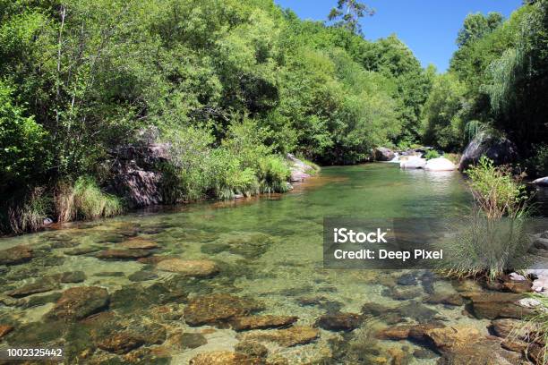 Clear Water At Cavado River 2 Stock Photo - Download Image Now - Aerial View, Animal Wildlife, Backgrounds