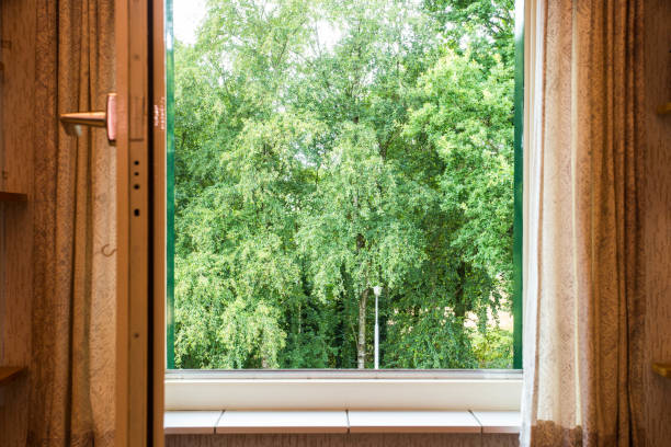 istock nature landscape with a view through a window with green trees 1002331126