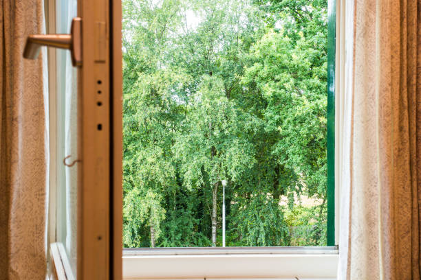istock nature landscape with a view through a window with green trees 1002331178