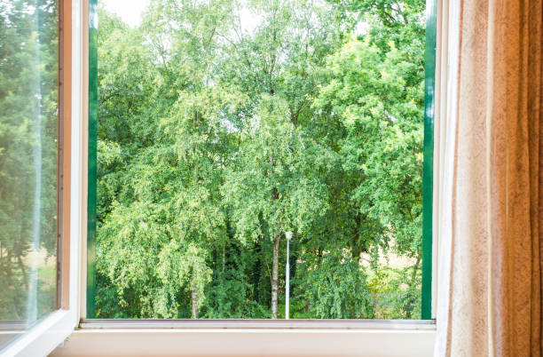 istock nature landscape with a view through a window with green trees 1002331216